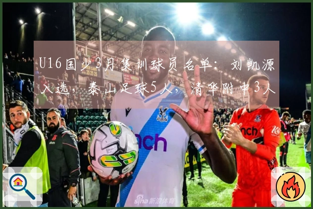 U16国少3月集训球员名单：刘凯源入选，泰山足球5人，清华附中3人