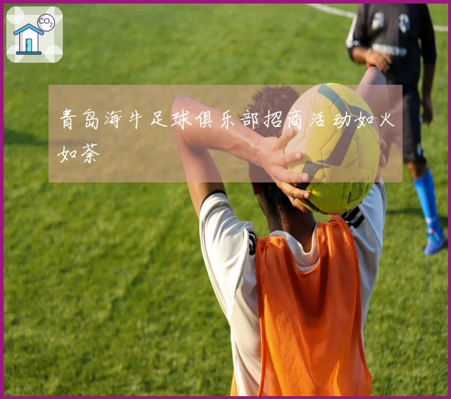 青岛海牛足球俱乐部招商活动如火如荼