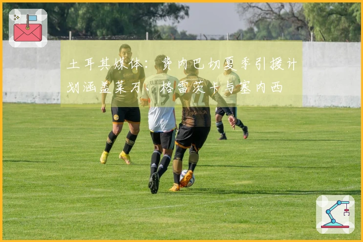 土耳其媒体：费内巴切夏季引援计划涵盖莱万、格雷茨卡与塞内西